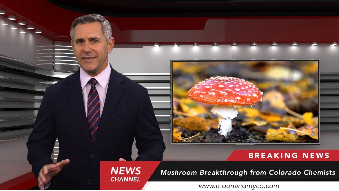 Load video: Amanita Gummies, are they safe?